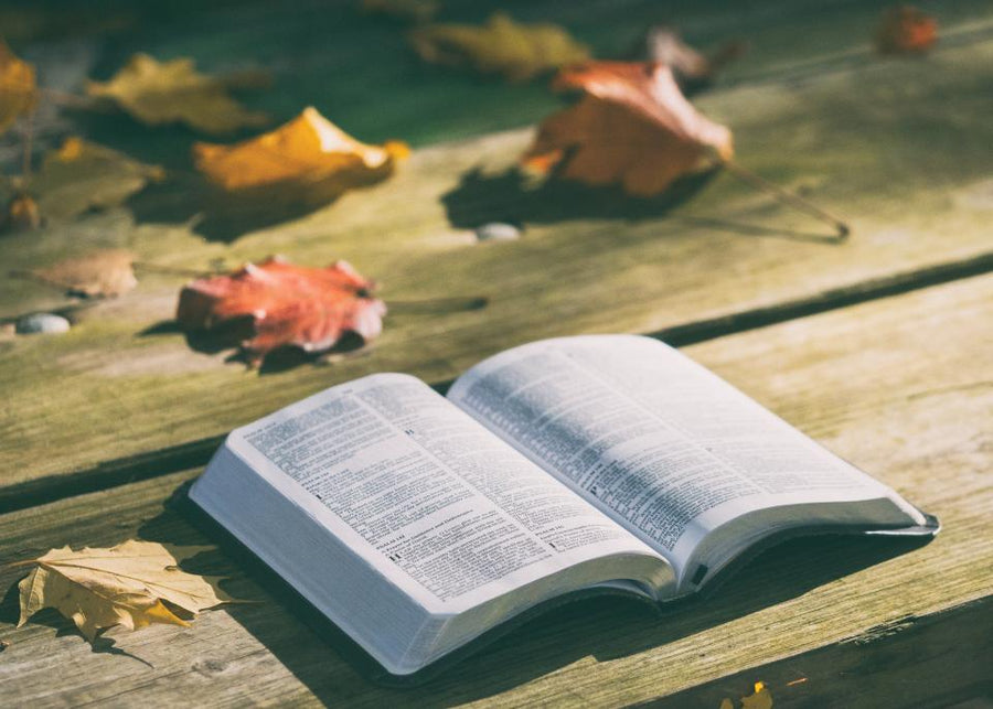 Biblia de Estudio